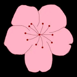 91.CAPPAPP应用